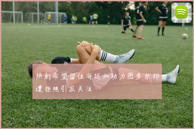 热刺希望留住海廷加助力图多尔却遭拒绝引发关注